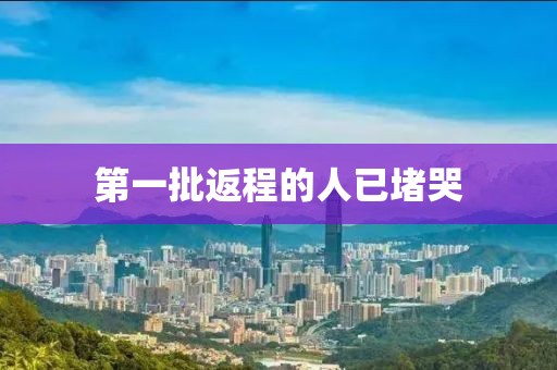 第一批返程的人已堵哭