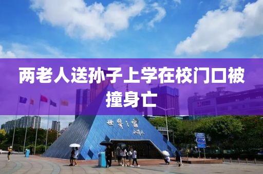 两老人送孙子上学在校门口被撞身亡