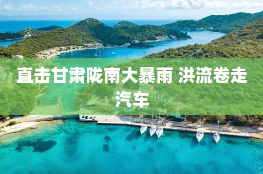 直击甘肃陇南大暴雨 洪流卷走汽车