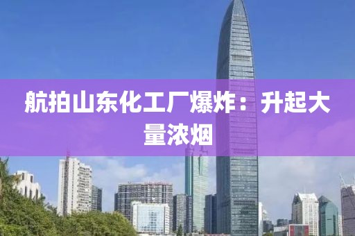 航拍山东化工厂爆炸：升起大量浓烟