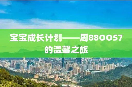 软件计划中的风险管理工具