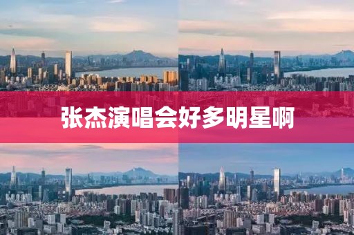 张杰演唱会好多明星啊