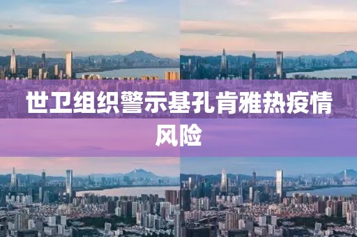 世卫组织警示基孔肯雅热疫情风险