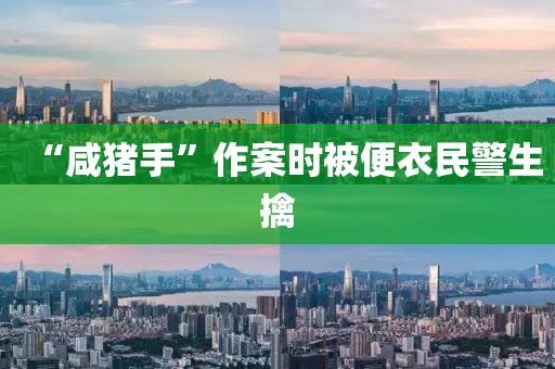 “咸猪手”作案时被便衣民警生擒