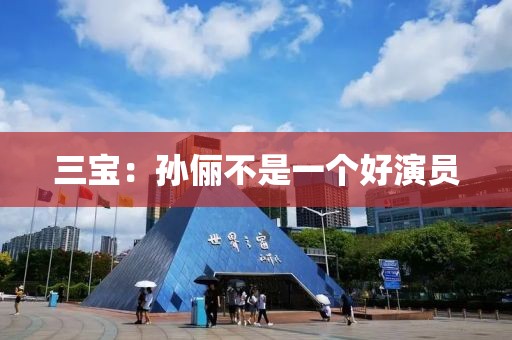 三宝：孙俪不是一个好演员