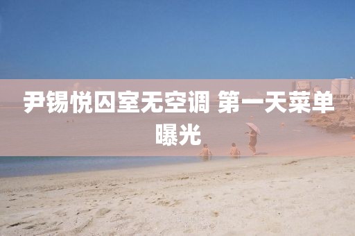 尹锡悦囚室无空调 第一天菜单曝光