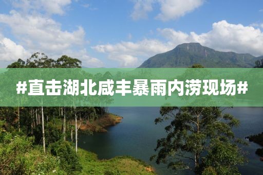 #直击湖北咸丰暴雨内涝现场#
