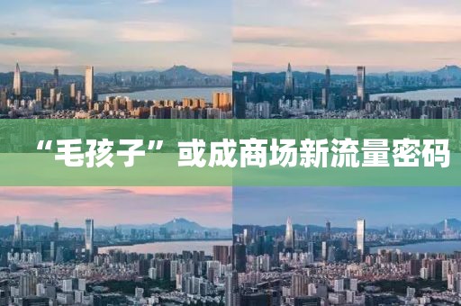 “毛孩子”或成商场新流量密码