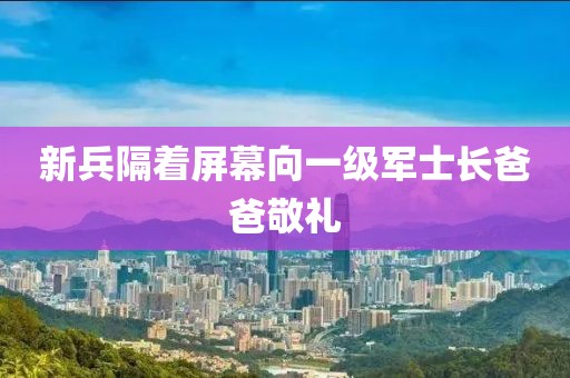 新兵隔着屏幕向一级军士长爸爸敬礼