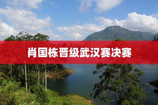 肖国栋晋级武汉赛决赛