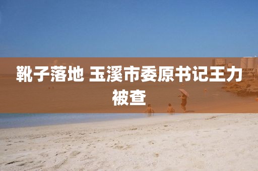 靴子落地 玉溪市委原书记王力被查