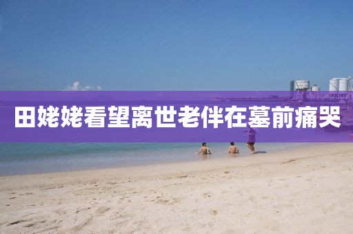 田姥姥看望离世老伴在墓前痛哭