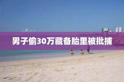 男子偷30万藏备胎里被批捕