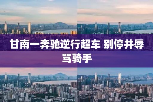 甘南一奔驰逆行超车 别停并辱骂骑手
