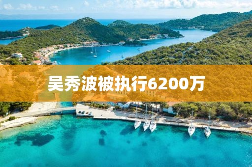 吴秀波被执行6200万