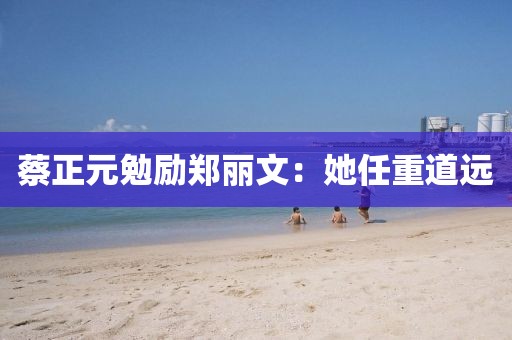 蔡正元勉励郑丽文:她任重道远