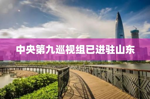 中央第九巡视组已进驻山东