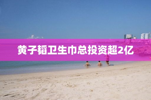 黄子韬卫生巾总投资超2亿