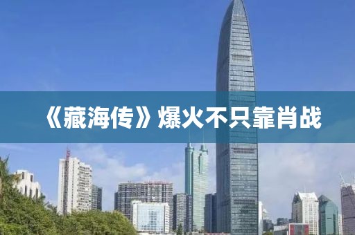 《藏海传》爆火不只靠肖战