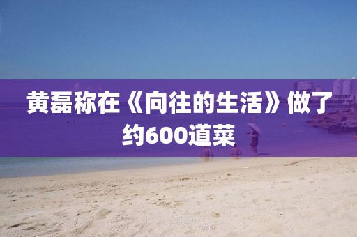 黄磊称在《向往的生活》做了约600道菜