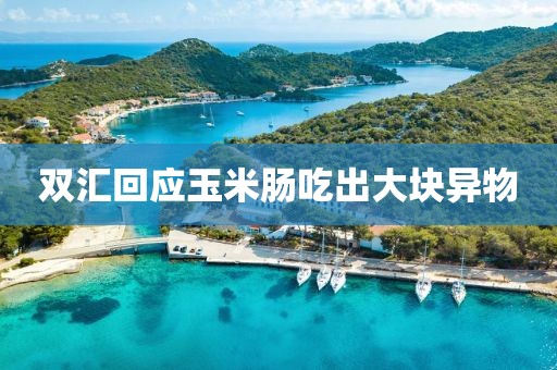 双汇回应玉米肠吃出大块异物