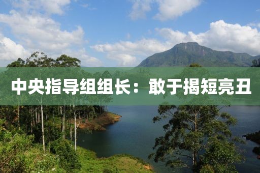 中央指导组组长：敢于揭短亮丑