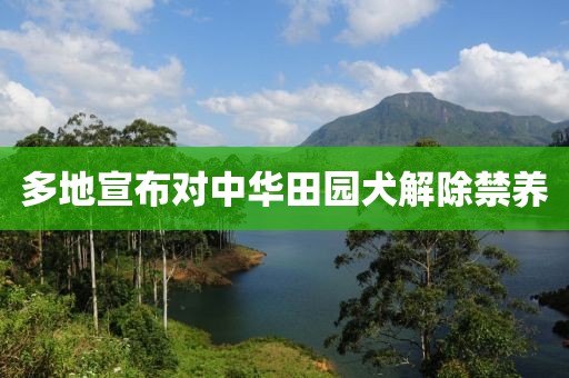 多地宣布对中华田园犬解除禁养