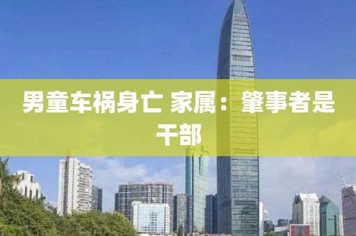 男童车祸身亡 家属：肇事者是干部