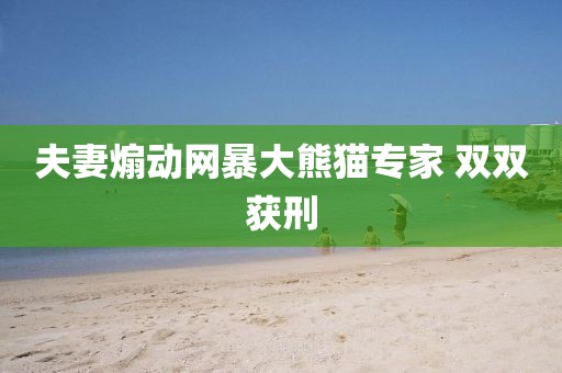 夫妻煽动网暴大熊猫专家 双双获刑