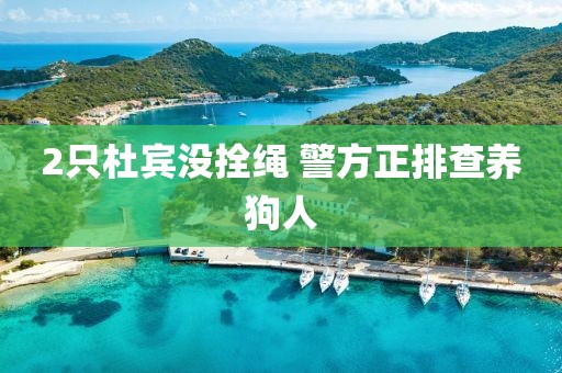 2只杜宾没拴绳 警方正排查养狗人