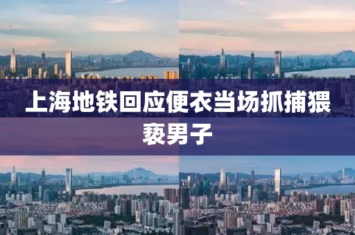 上海地铁回应便衣当场抓捕猥亵男子