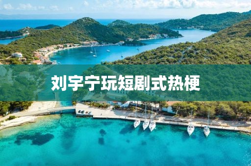 刘宇宁玩短剧式热梗
