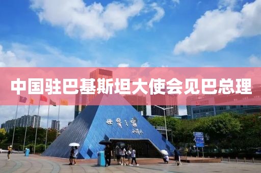 中国驻巴基斯坦大使会见巴总理