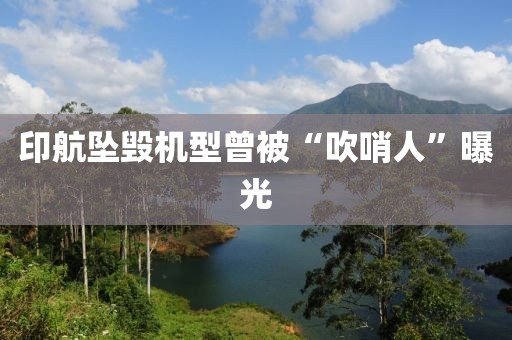 印航坠毁机型曾被“吹哨人”曝光 印航坠毁机型曾被“吹哨人”曝光