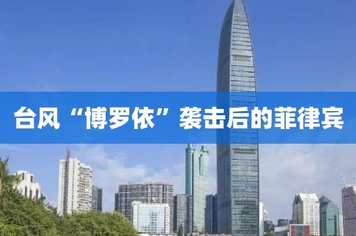 台风“博罗依”袭击后的菲律宾