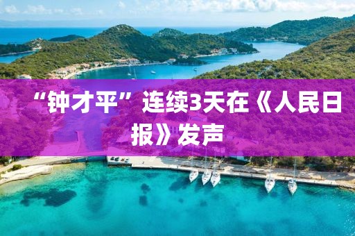 “钟才平”连续3天在《人民日报》发声