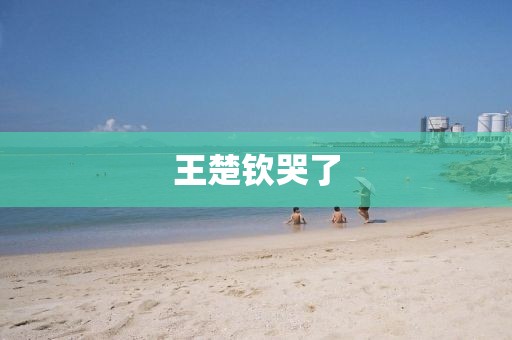 王楚钦哭了