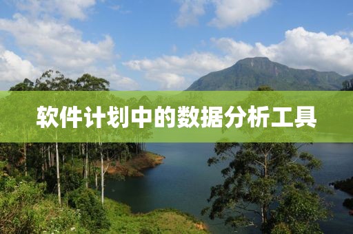 软件计划中的数据分析工具