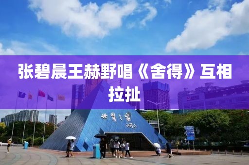 张碧晨王赫野唱《舍得》互相拉扯