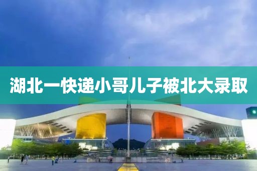 湖北一快递小哥儿子被北大录取