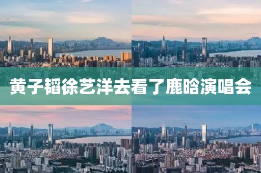 黄子韬徐艺洋去看了鹿晗演唱会