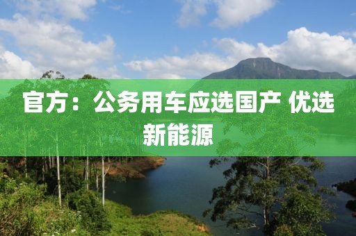 官方：公务用车应选国产 优选新能源
